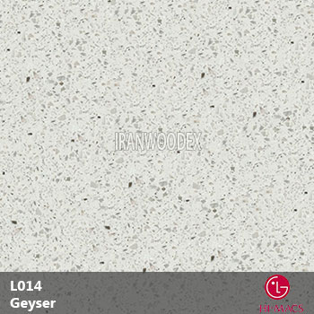 L014-Geyser