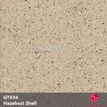 GT934-Hazelnut Shell