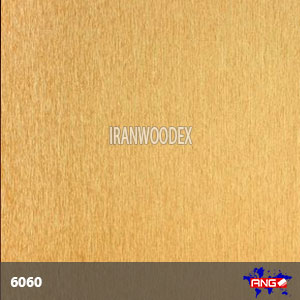 6060-اینکس طلائی