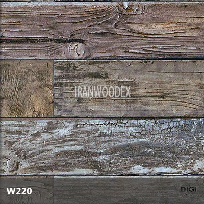 DigiPan-W220