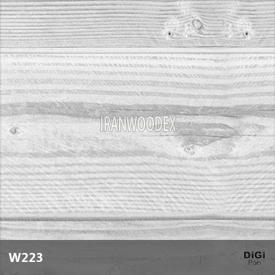 DigiPan-W223