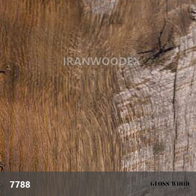 Gloss Wood-7788