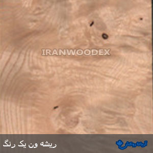 روکش چوبی آریانا-177-ریشه ون یک رنگ