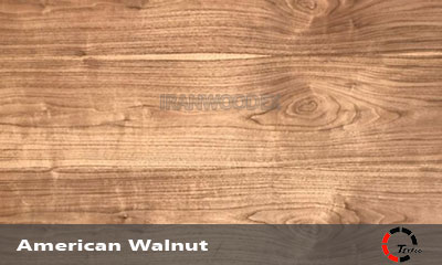 ام دی اف روکش چوب طیف-American Walnut