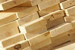 قیمت چوب روس